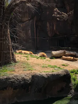 天王寺動物園に投稿された画像（2023/3/11）