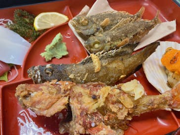 沖縄海うさぎ・海あしびに投稿された画像（2023/3/11）