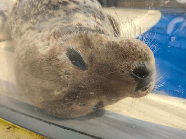 島根県立 しまね海洋館に投稿された画像（2023/3/11）