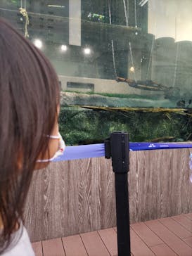 サンシャイン水族館に投稿された画像（2023/3/11）