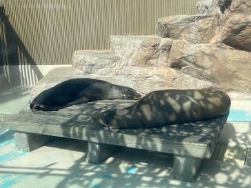 サンシャイン水族館に投稿された画像（2023/3/11）