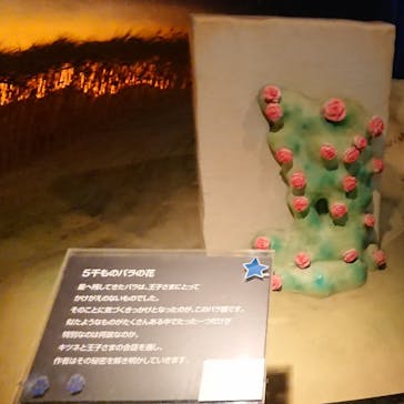 星の王子さまミュージアム 箱根サン=テグジュペリに投稿された画像（2023/3/11）