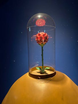 星の王子さまミュージアム 箱根サン=テグジュペリに投稿された画像（2023/3/11）