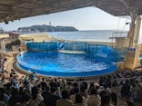 新江ノ島水族館に投稿された画像（2023/3/11）