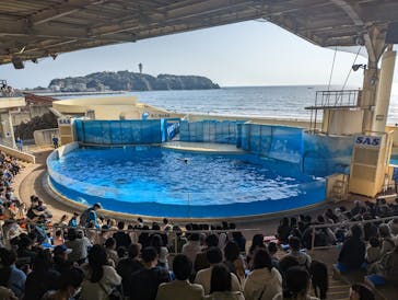 新江ノ島水族館に投稿された画像（2023/3/11）