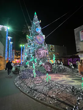 ひらかたパークに投稿された画像（2023/3/11）