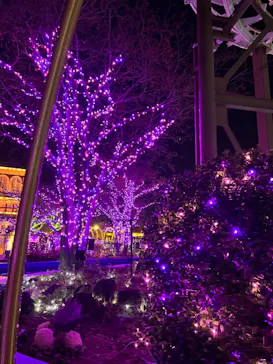 ひらかたパークに投稿された画像（2023/3/11）