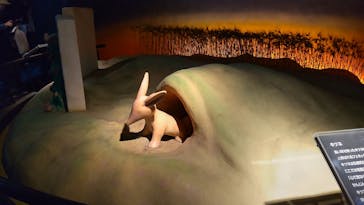 星の王子さまミュージアム 箱根サン=テグジュペリに投稿された画像（2023/3/11）