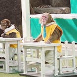 おさるランド＆アニタウン　日光さる軍団劇場に投稿された画像（2023/3/11）