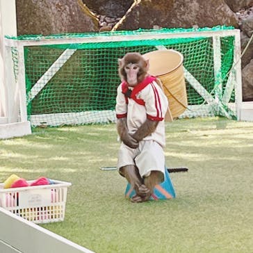 おさるランド＆アニタウン　日光さる軍団劇場に投稿された画像（2023/3/11）