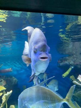 サンシャイン水族館に投稿された画像（2023/3/11）