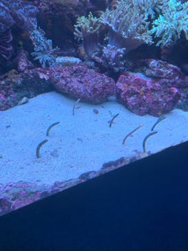 サンシャイン水族館に投稿された画像（2023/3/11）