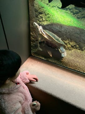 サンシャイン水族館に投稿された画像（2023/3/11）