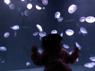 サンシャイン水族館に投稿された画像（2023/3/11）