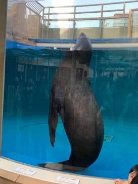 サンシャイン水族館に投稿された画像（2023/3/11）
