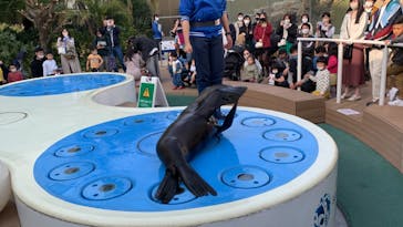 サンシャイン水族館に投稿された画像（2023/3/11）