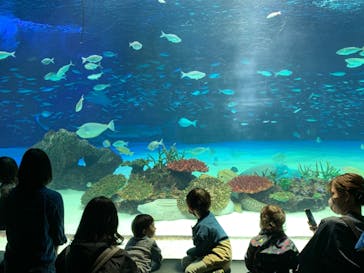 サンシャイン水族館に投稿された画像（2023/3/11）