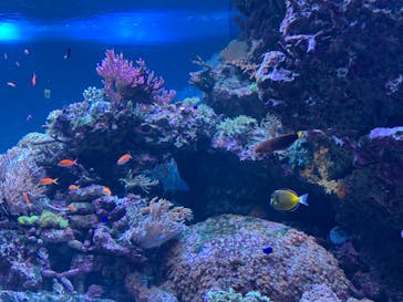 サンシャイン水族館に投稿された画像（2023/3/11）