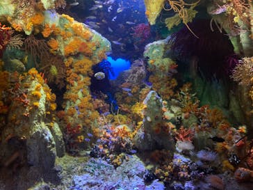 サンシャイン水族館に投稿された画像（2023/3/11）