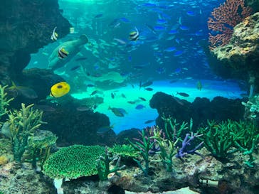 サンシャイン水族館に投稿された画像（2023/3/11）