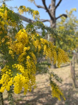 到津の森公園に投稿された画像（2023/3/11）