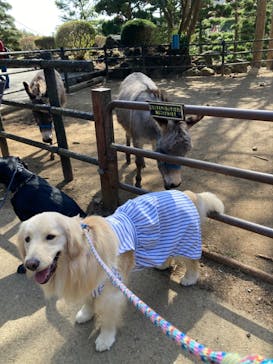 伊豆シャボテン動物公園に投稿された画像（2023/3/11）