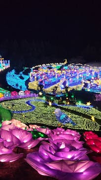 伊豆ぐらんぱる公園に投稿された画像（2023/3/11）