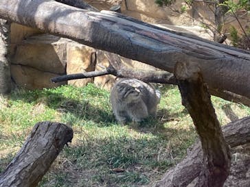 那須どうぶつ王国に投稿された画像（2023/3/11）