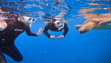 初心者専門マリンサービスサンフィッシュ石垣島に投稿された画像（2023/3/11）