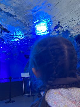 サンシャイン水族館に投稿された画像（2023/3/11）
