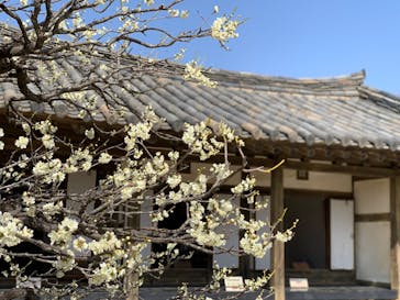 野外民族博物館 リトルワールドに投稿された画像（2023/3/12）