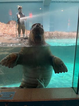 伊豆・三津シーパラダイスに投稿された画像（2023/3/12）