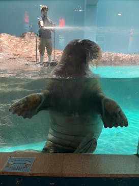 伊豆・三津シーパラダイスに投稿された画像（2023/3/12）