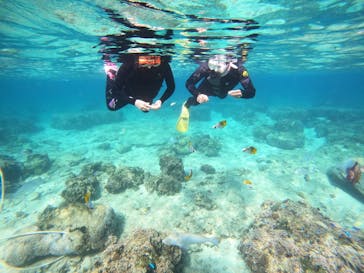 沖縄マリンサービス碧に投稿された画像（2023/3/12）