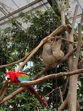 神戸どうぶつ王国に投稿された画像（2023/3/12）