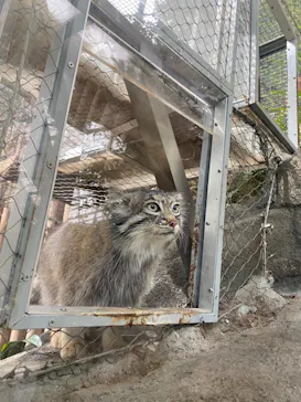 神戸どうぶつ王国に投稿された画像（2023/3/12）