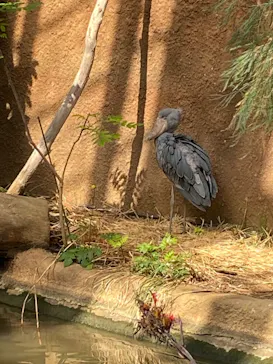 神戸どうぶつ王国に投稿された画像（2023/3/12）