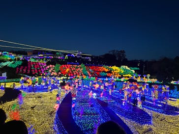 伊豆ぐらんぱる公園に投稿された画像（2023/3/12）