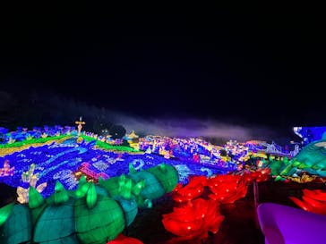 伊豆ぐらんぱる公園に投稿された画像（2023/3/12）