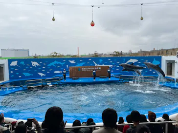 仙台うみの杜水族館に投稿された画像（2023/3/12）