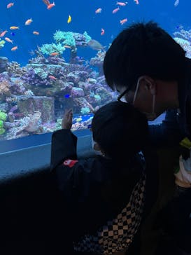 サンシャイン水族館に投稿された画像（2023/3/12）
