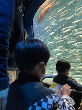 サンシャイン水族館に投稿された画像（2023/3/12）