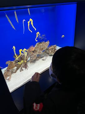 サンシャイン水族館に投稿された画像（2023/3/12）