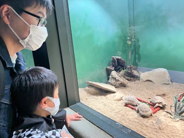 サンシャイン水族館に投稿された画像（2023/3/12）