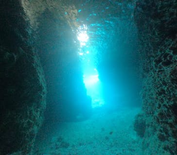 DIVING-SHOP SUNSに投稿された画像（2023/3/12）