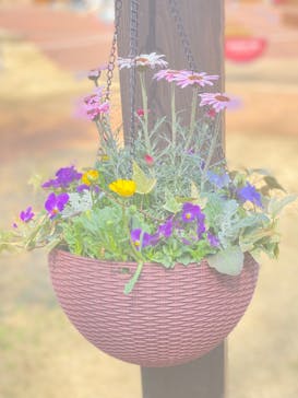 ムーミンバレーパークに投稿された画像（2023/3/12）