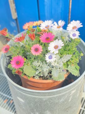 ムーミンバレーパークに投稿された画像（2023/3/12）