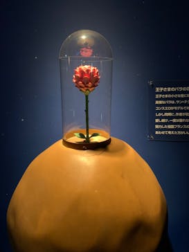 星の王子さまミュージアム 箱根サン=テグジュペリに投稿された画像（2023/3/12）