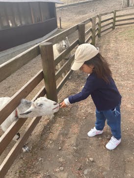 伊香保グリーン牧場に投稿された画像（2023/3/12）