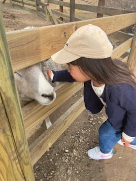 伊香保グリーン牧場に投稿された画像（2023/3/12）